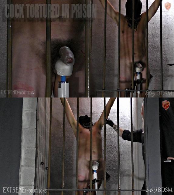 665BDSM – Cock Tortured In Prison