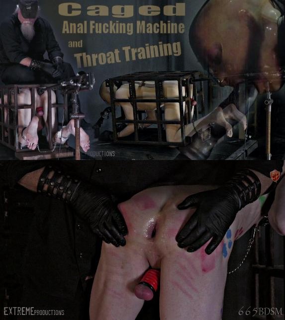 665BDSM – Caged Anal Fucking Machine Throat Training (Jan 1, 2024)