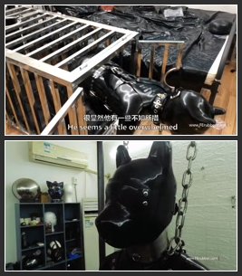 Rubber Pup Training Day